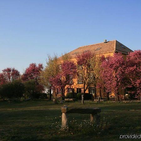 Готель Domus Selecta 26Labrador.Es (Adults Only) Мурільйо-де-Ґальєґо Екстер'єр фото
