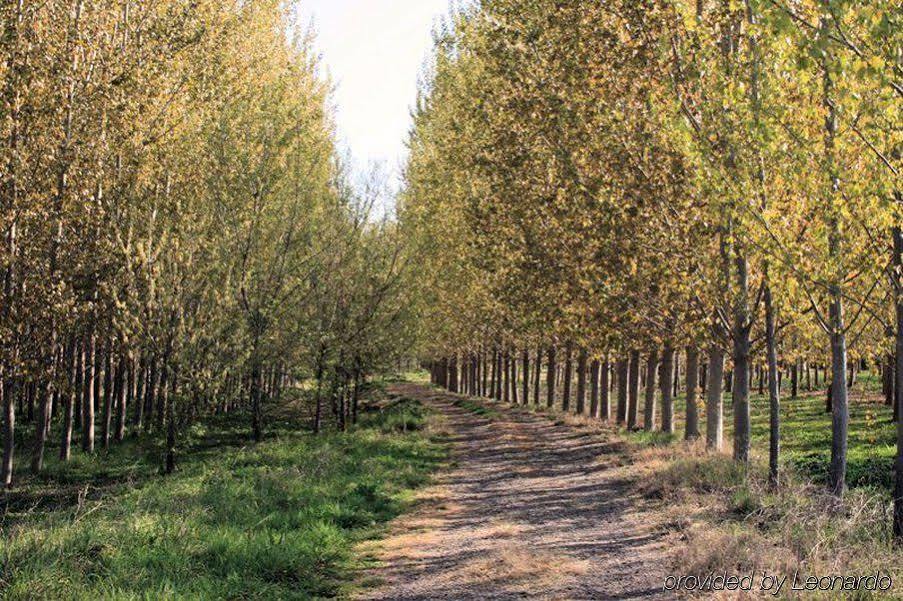 Готель Domus Selecta 26Labrador.Es (Adults Only) Мурільйо-де-Ґальєґо Екстер'єр фото